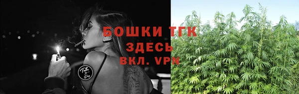 шишки Гусиноозёрск