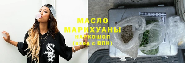 шишки Гусиноозёрск