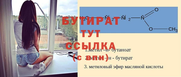 шишки Гусиноозёрск