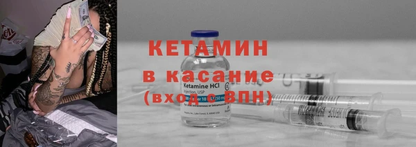 шишки Гусиноозёрск