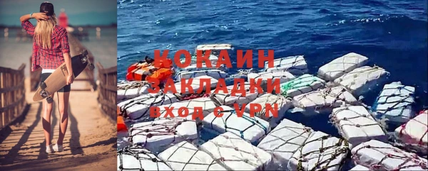 шишки Гусиноозёрск