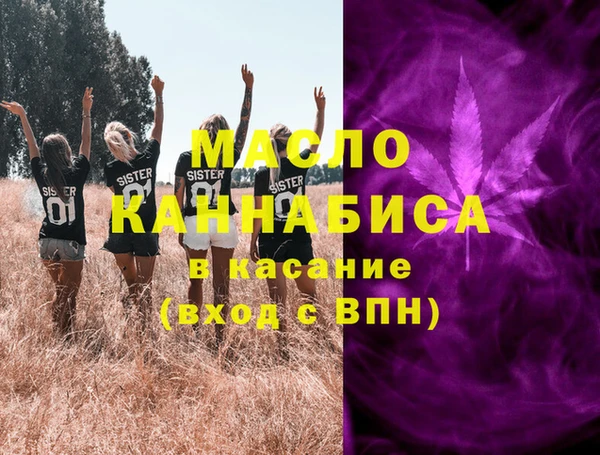 шишки Гусиноозёрск