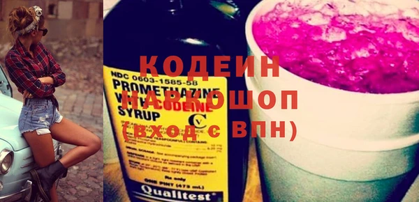 шишки Гусиноозёрск