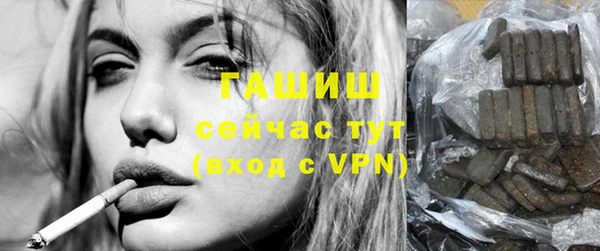 шишки Гусиноозёрск