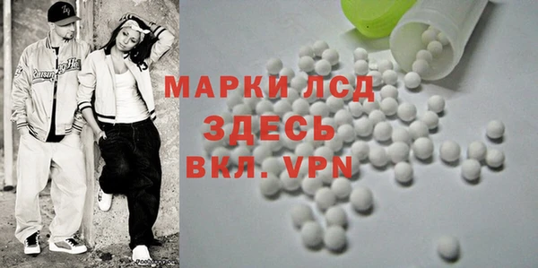 шишки Гусиноозёрск
