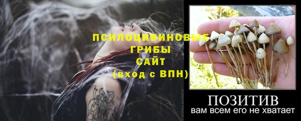 шишки Гусиноозёрск