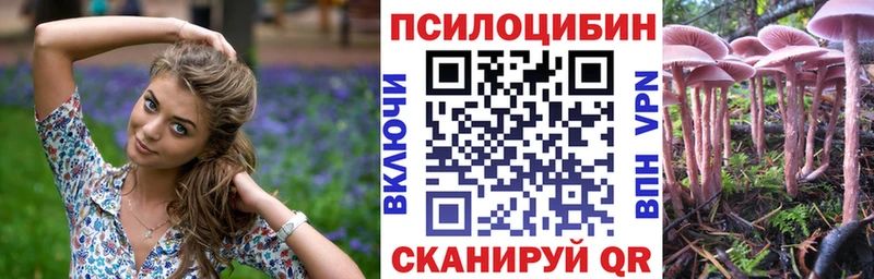 KRAKEN онион Мытищи Псилоцибиновые грибы мухоморы